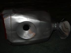 Finished whale